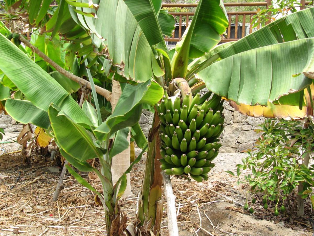 Finca El Moral Пуерто де Мохан Екстериор снимка